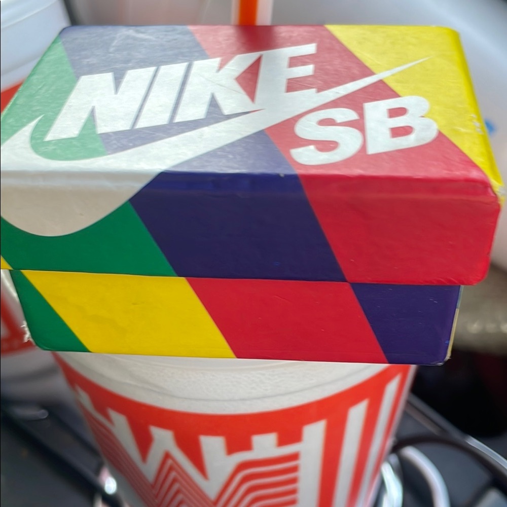 Nike SB Multicolor Diagonal Stripe Skate Shoe Box